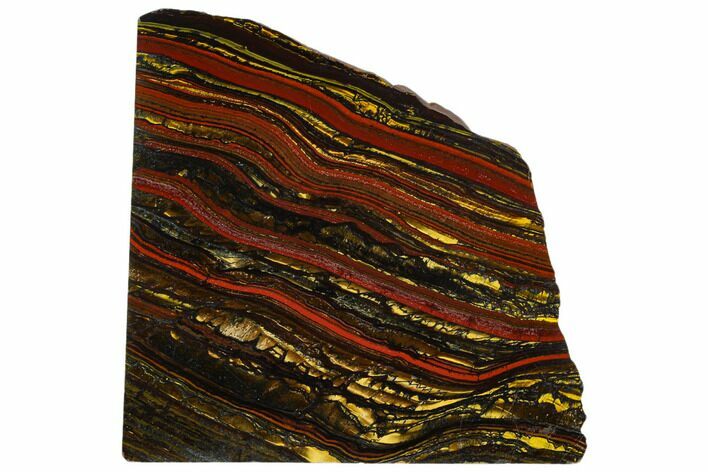 Polished Tiger Iron Stromatolite - Billion Years #129338